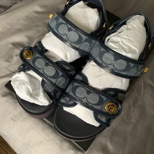 Authentic Coach slides